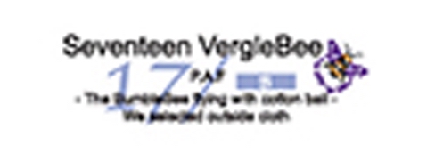 17 VergleBee logo