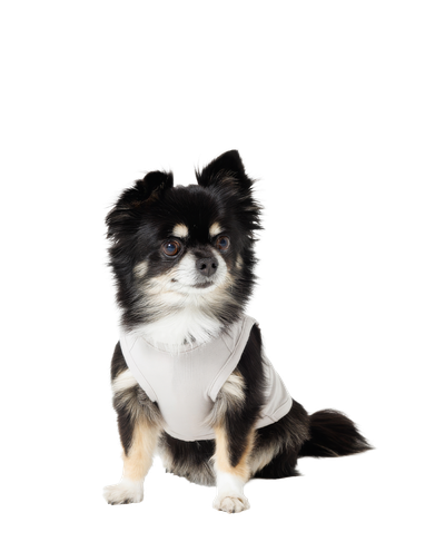 犬用 タンクトップ (Sサイズ)