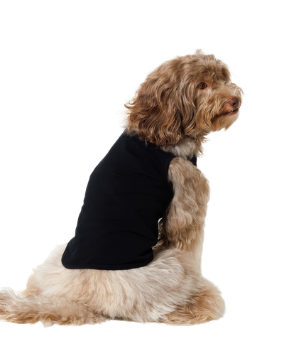 犬用 タンクトップ (XLサイズ)