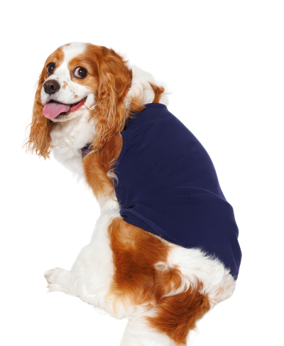 犬用 タンクトップ (2XLサイズ)