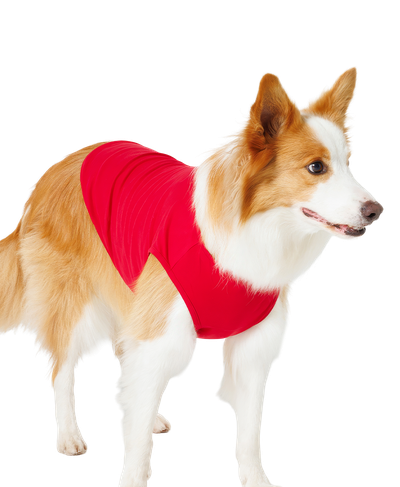 犬用 タンクトップ (3XLサイズ)