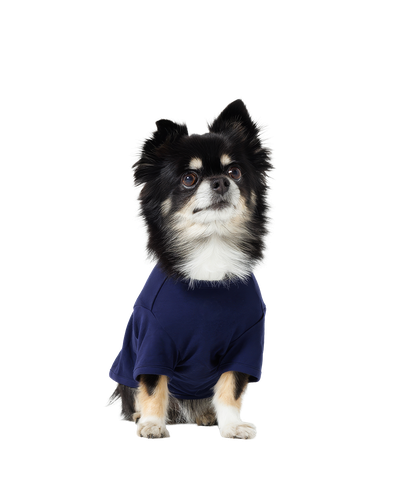 犬用 半袖Tシャツ (Sサイズ)