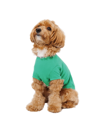 犬用 半袖Tシャツ (Mサイズ)