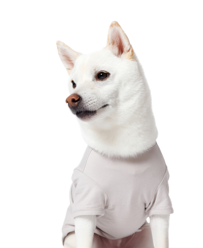 犬用 半袖Tシャツ (Lサイズ)