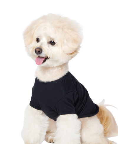 犬用 半袖Tシャツ (XLサイズ)