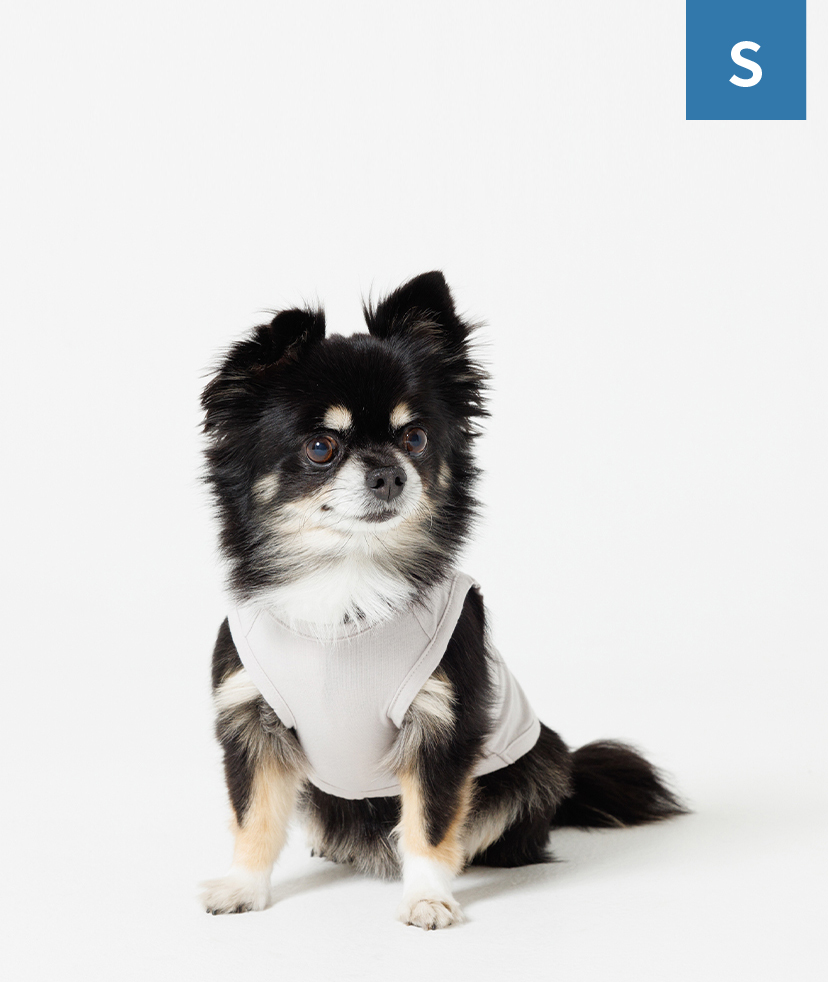 オリジナル】ドッグウェア商品一覧｜オリジナルプリントの専門店