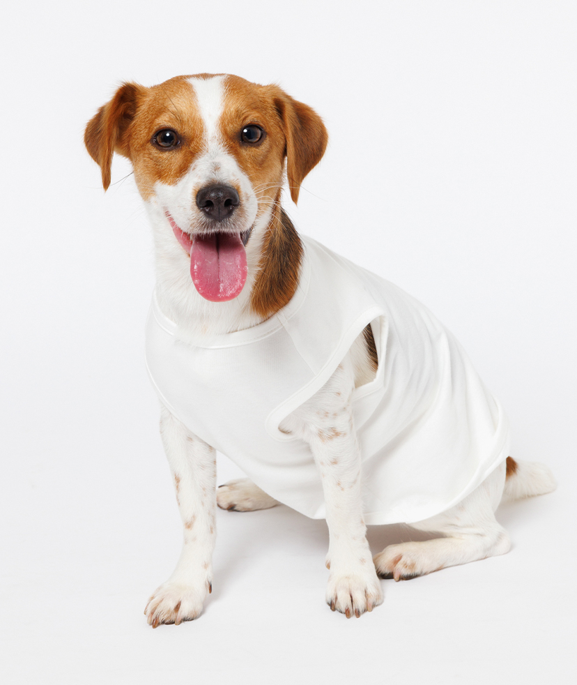 犬用 タンクトップ (Mサイズ) | オリジナルのスウェット・Tシャツなど