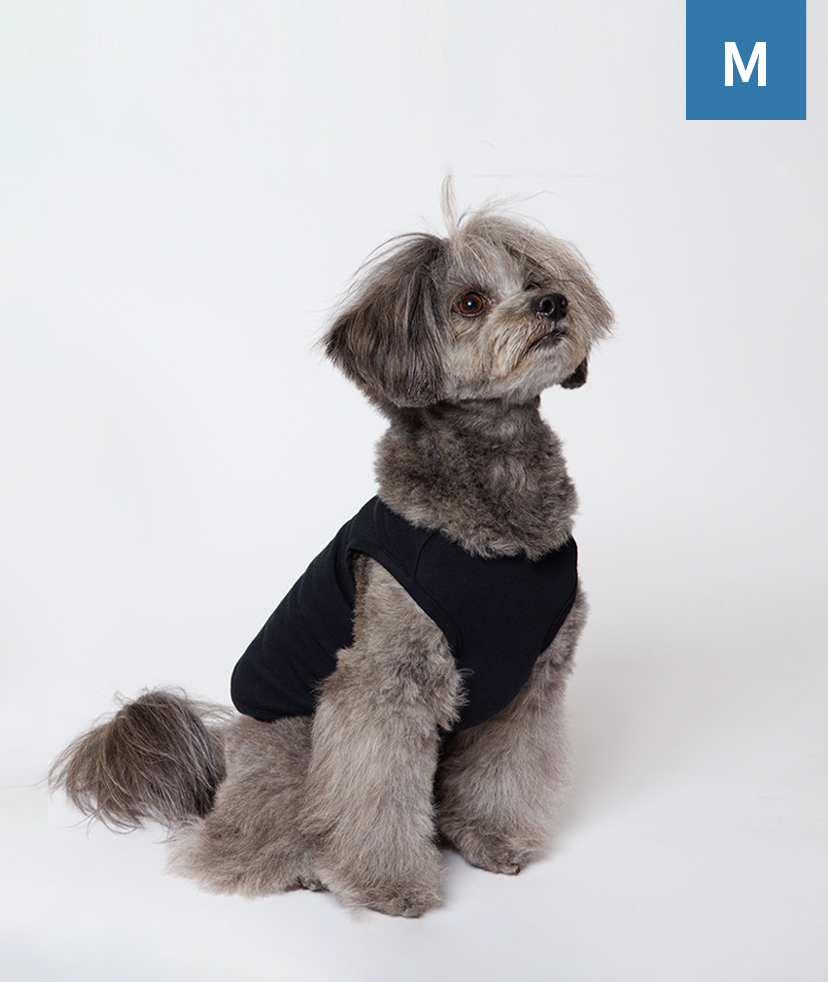 オリジナル】ドッグウェア商品一覧｜オリジナルプリントの専門店