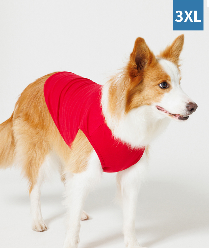 オリジナル】ドッグウェア商品一覧｜オリジナルプリントの専門店