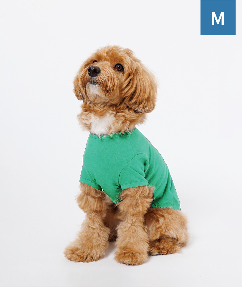 オリジナル】ドッグウェア商品一覧｜オリジナルプリントの専門店