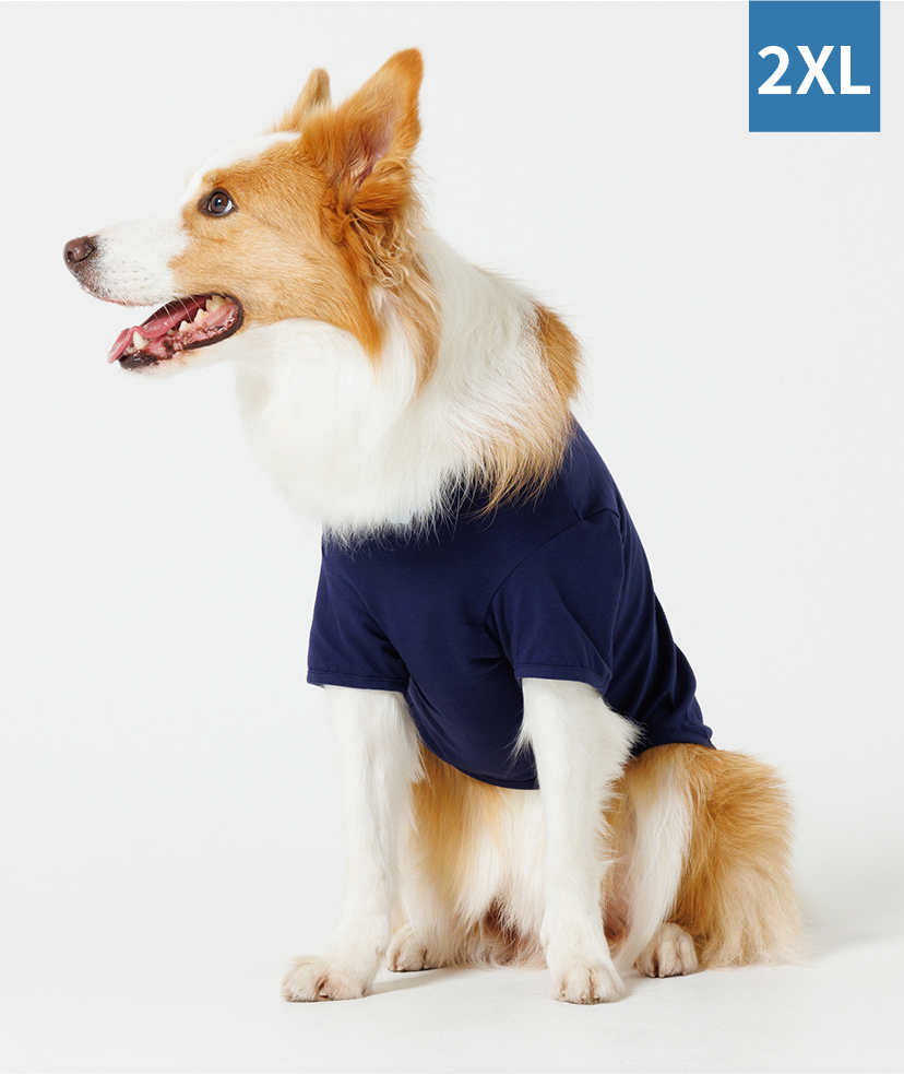 わんこ服　オーダー見本 オリジナル】ドッグウェア商品一覧｜オリジナルプリントの専門店